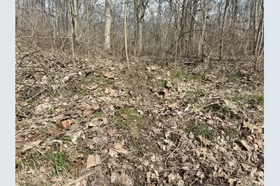 0 Wilson, Winchester, OH 45697 - Photo 35