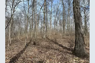 0 Wilson, Winchester, OH 45697 - Photo 53