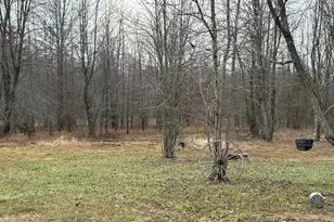 1600 St Rt 134, Clay Township, OH 45171 - Photo 9