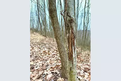 0 Straight Creek Road, Jackson Township, OH 45613 - Photo 9