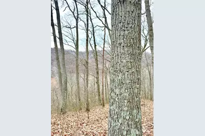 0 Straight Creek Road, Jackson Township, OH 45613 - Photo 1