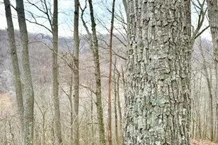 0 Straight Creek Rd, Jackson Township, OH 45613 - Photo 1