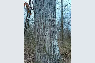 0 Straight Creek Road, Jackson Township, OH 45613 - Photo 25