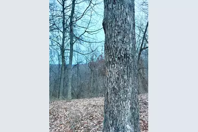 0 Straight Creek Road, Jackson Township, OH 45613 - Photo 57