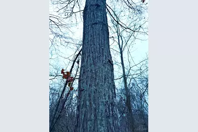 0 Straight Creek Road, Jackson Township, OH 45613 - Photo 67