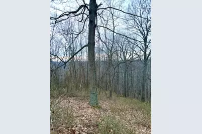 0 Straight Creek Road, Jackson Township, OH 45613 - Photo 15