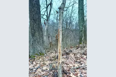 0 Straight Creek Road, Jackson Township, OH 45613 - Photo 7