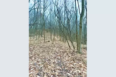 0 Straight Creek Road, Jackson Township, OH 45613 - Photo 43