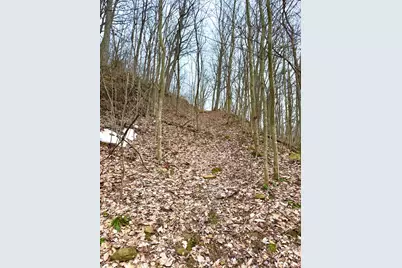 0 Straight Creek Road, Jackson Township, OH 45613 - Photo 33