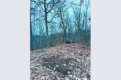 0 Straight Creek Road, Jackson Township, OH 45613 - Photo 17