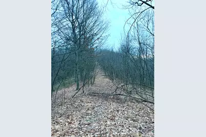 0 Straight Creek Road, Jackson Township, OH 45613 - Photo 53