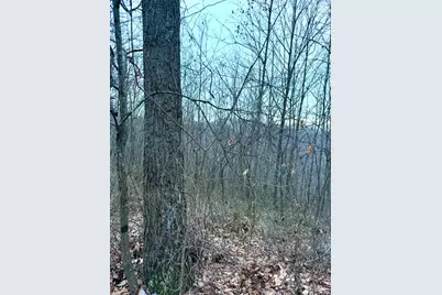 0 Straight Creek Road, Jackson Township, OH 45613 - Photo 61