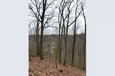 0 Straight Creek Road, Jackson Township, OH 45613 - Photo 37