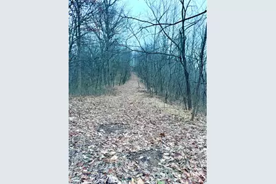 0 Straight Creek Road, Jackson Township, OH 45613 - Photo 5