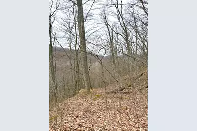 0 Straight Creek Road, Jackson Township, OH 45613 - Photo 35