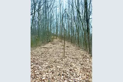 0 Straight Creek Road, Jackson Township, OH 45613 - Photo 41