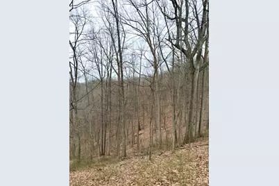 0 Straight Creek Road, Jackson Township, OH 45613 - Photo 23