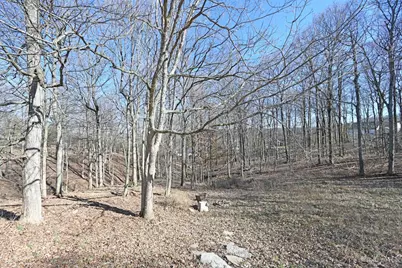 3130 Wolf Run Court, Anderson Township, OH 45244 - Photo 73