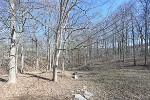 3130 Wolf Run Ct, Cincinnati, OH 45244 - Photo 73