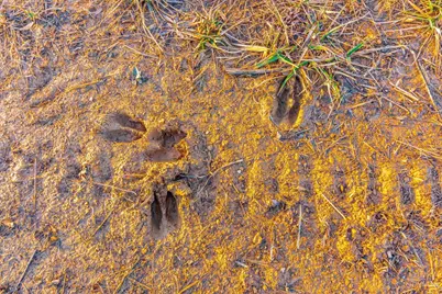 500 Ernie Road, Lynx, OH 45650 - Photo 29