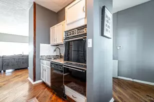 305 Klotter Ave, Cincinnati, OH 45219 - Photo 19