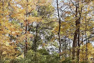 560 Blackhawk Trail, Miami Township, OH 45140 - Photo 61