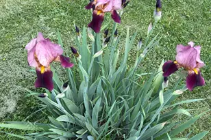 3826 California Ave, Kettering, OH 45429 - Photo 35