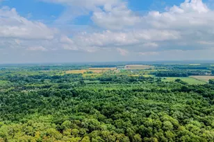 5445 Belle Meade Dr, Stonelick Township, OH 45103 - Photo 81