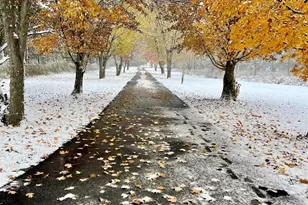 3574 McLean Rd, Franklin Township, OH 45005 - Photo 47