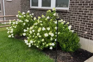 1160 Golf Club Dr, Turtle Creek Township, OH 45036 - Photo 47