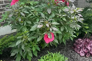 1160 Golf Club Dr, Turtle Creek Township, OH 45036 - Photo 51