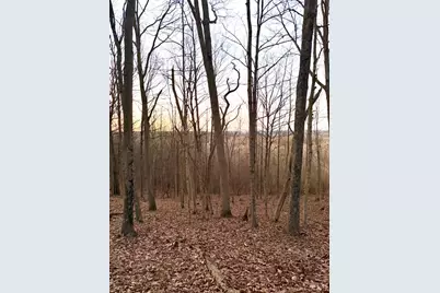 0 St Rt 139, Madison Township, OH 45653 - Photo 23