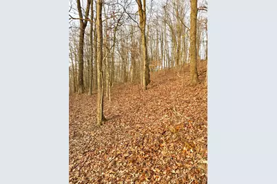 0 St Rt 139, Madison Township, OH 45653 - Photo 57