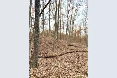 0 Sr 139, Madison Township, OH 45653 - Photo 37