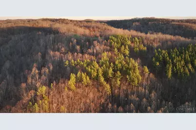 0 Sr 139, Madison Township, OH 45653 - Photo 17