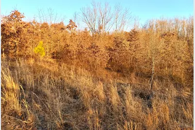 0 St Rt 139, Madison Township, OH 45653 - Photo 85