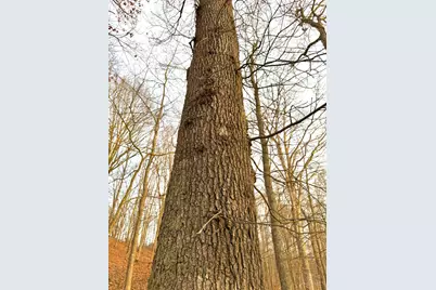 0 St Rt 139, Madison Township, OH 45653 - Photo 17