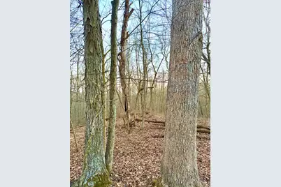 0 St Rt 139, Madison Township, OH 45653 - Photo 25