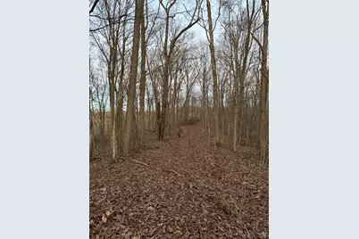 0 St Rt 139, Madison Township, OH 45653 - Photo 71