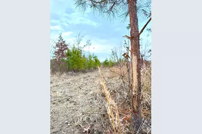 0 St Rt 139, Madison Township, OH 45653 - Photo 51