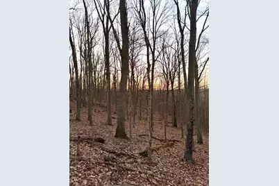 0 St Rt 139, Madison Township, OH 45653 - Photo 75