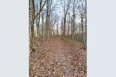 0 St Rt 139, Madison Township, OH 45653 - Photo 81