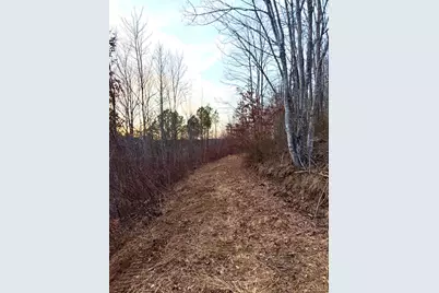 0 St Rt 139, Madison Township, OH 45653 - Photo 61