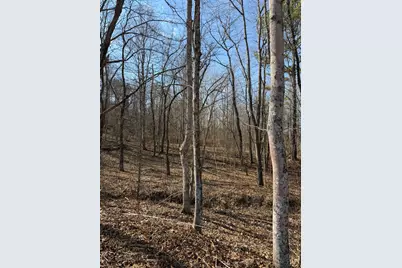 0 St Rt 139, Madison Township, OH 45653 - Photo 69