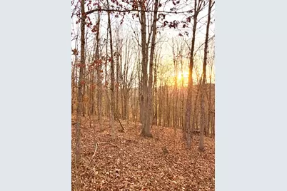 0 St Rt 139, Madison Township, OH 45653 - Photo 9