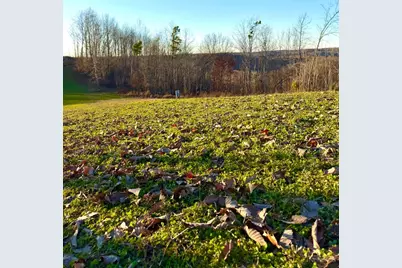 0 St Rt 139, Madison Township, OH 45653 - Photo 93