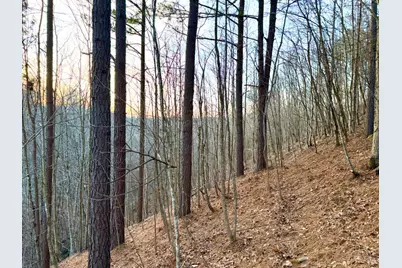 0 St Rt 139, Madison Township, OH 45653 - Photo 19