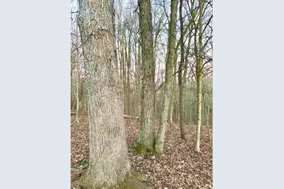 0 St Rt 139, Madison Township, OH 45653 - Photo 77