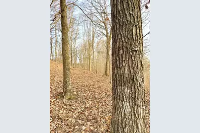 0 Sr 139, Madison Township, OH 45653 - Photo 41