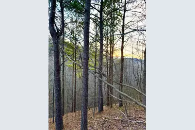 0 St Rt 139, Madison Township, OH 45653 - Photo 63